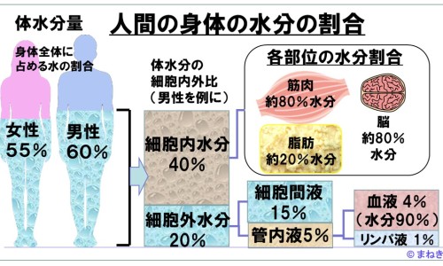关节痛烤电越烤越疼-关节炎烤电烤出汗网 :分享关节炎烤电一般多长时间-烤电对关节炎有效果吗知识